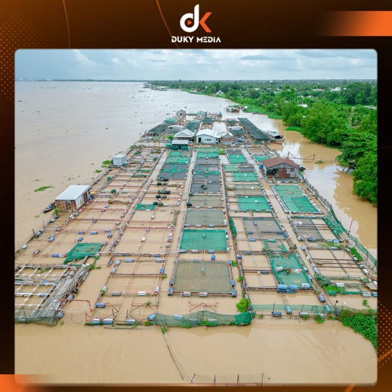 Bay flycam tại cần thơ. Duky media, dịch vụ quay phim chất lượng, bay flycam uy tín